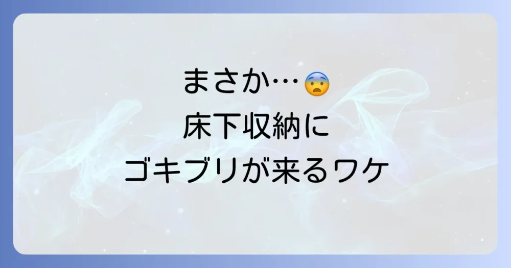 なぜ？床下収納にゴキブリが発生する3つの原因