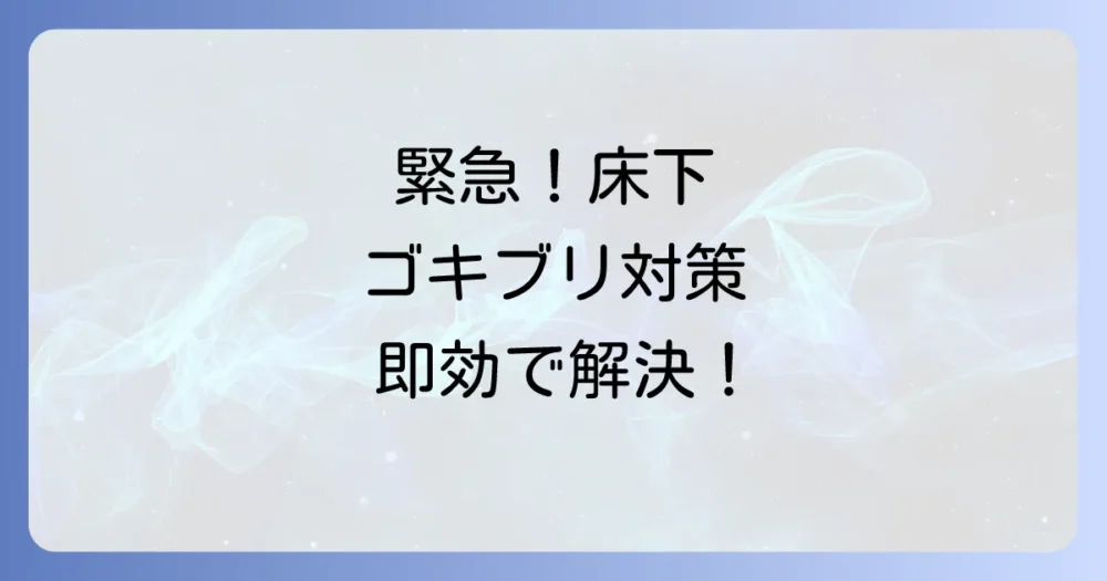 今すぐできる！床下収納のゴキブリ駆除方法