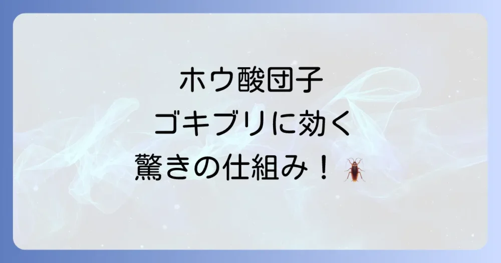 そもそもホウ酸団子はゴキブリになぜ効くの？効果の仕組みを解説