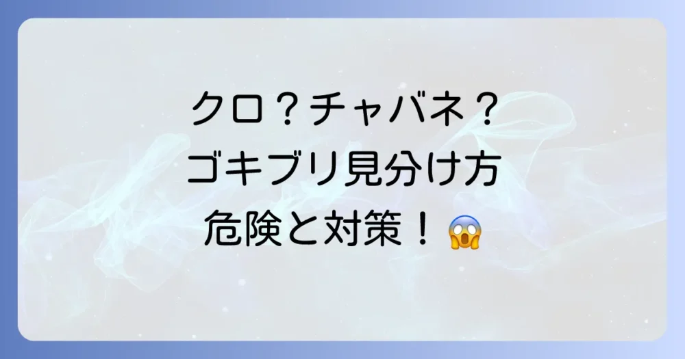 クロゴキブリとチャバネゴキブリの違いを徹底比較！見分け方から危険性、効果的な対策まで完全解説