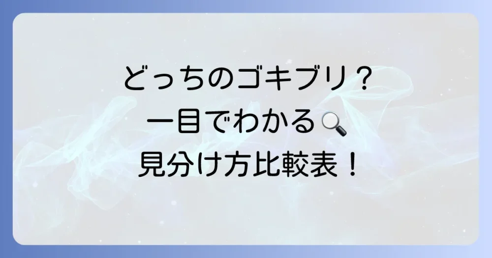一目でわかる!クロゴキブリとチャバネゴキブリの主な違い比較表