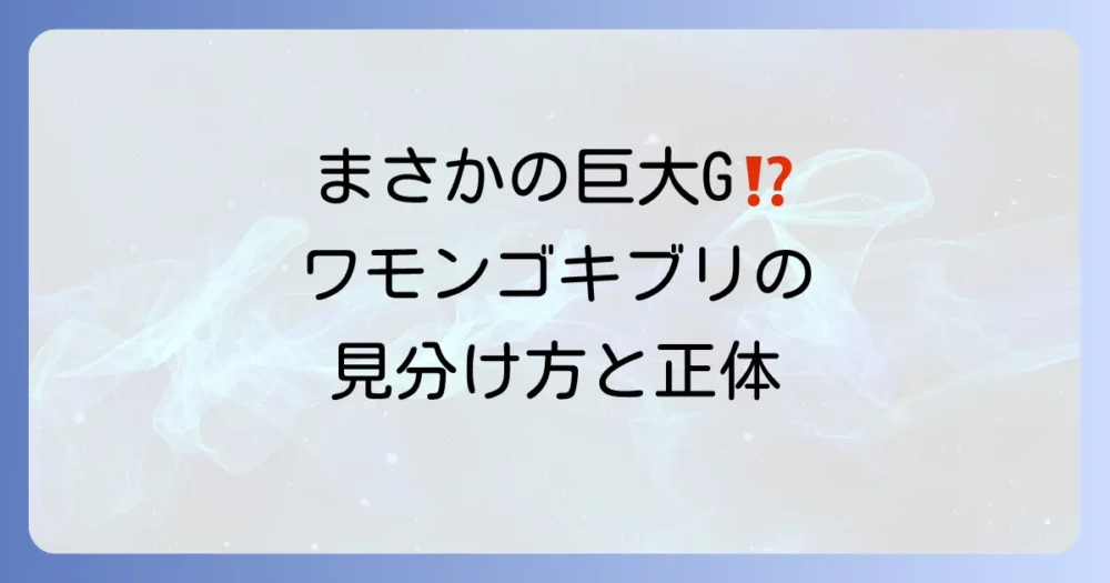 ワモンゴキブリってどんなゴキブリ？特徴と見分け方