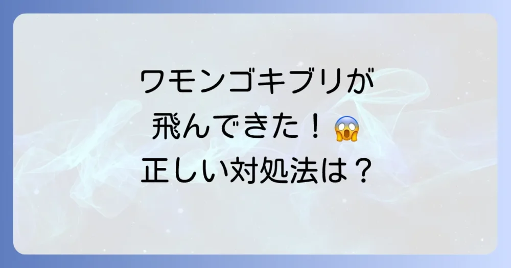【実践】飛ぶワモンゴキブリに遭遇した時の正しい対処法と駆除