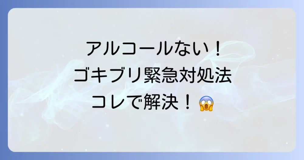 アルコールスプレーがない!緊急時のゴキブリ対処法
