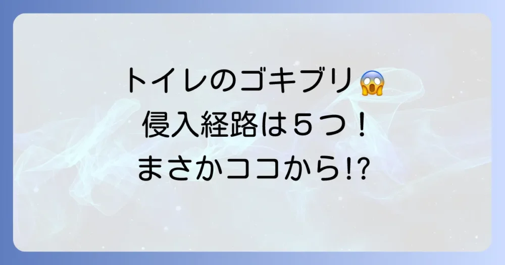 【結論】トイレのゴキブリ、主な侵入経路は5つ!