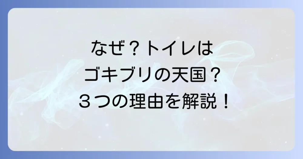なぜ?トイレがゴキブリにとって天国な3つの理由