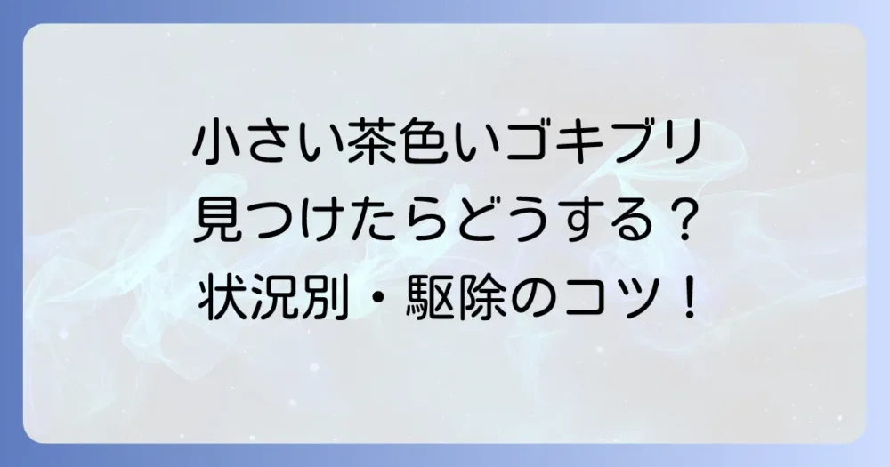 【状況別】小さい茶色いゴキブリの効果的な駆除方法