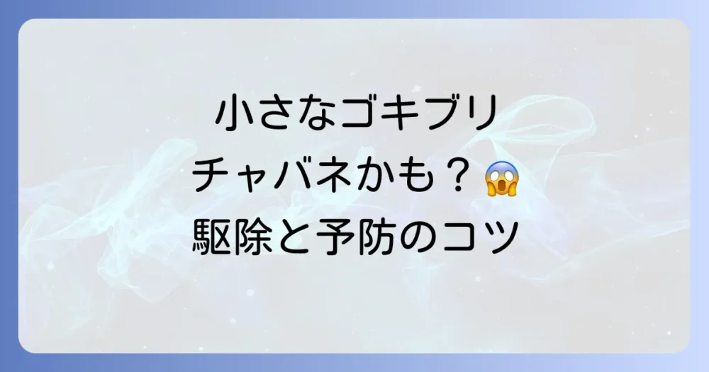 チャバネゴキブリを見つけたら？正しい駆除と予防策