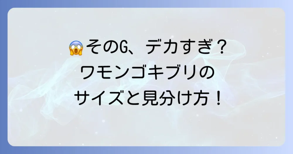 ワモンゴキブリの大きさと見た目の特徴