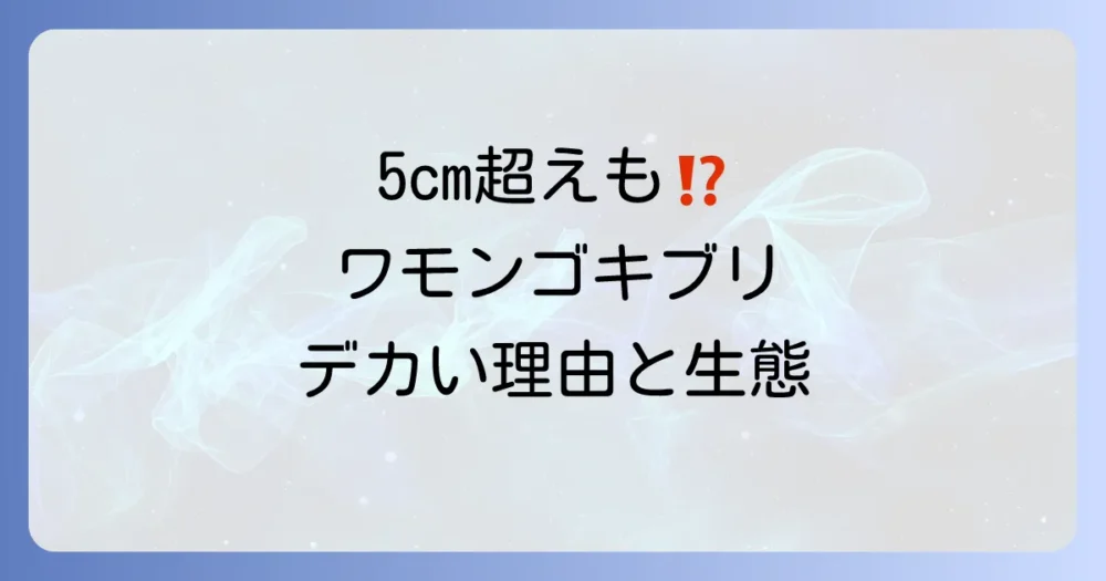 なぜ大きい？ワモンゴキブリの生態に迫る