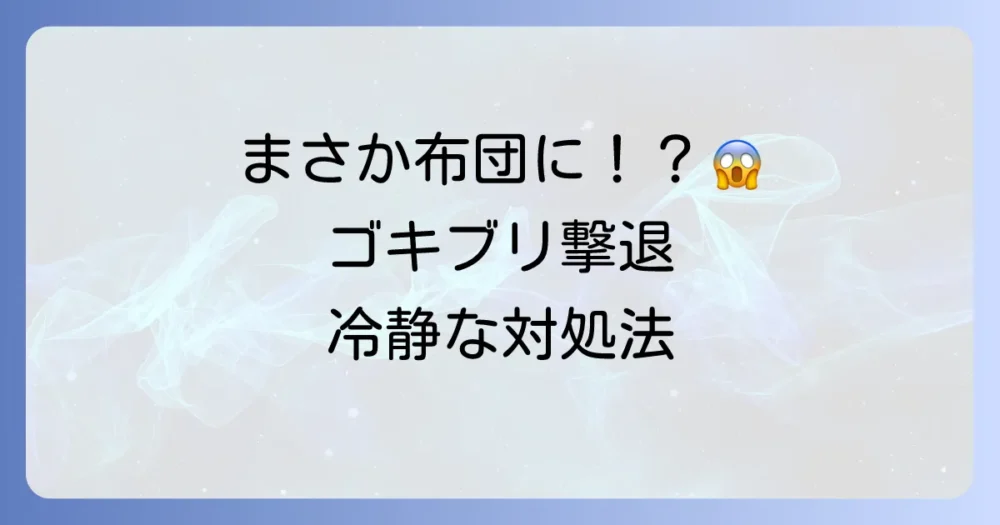 もし布団でゴキブリに遭遇してしまったら…冷静な対処法