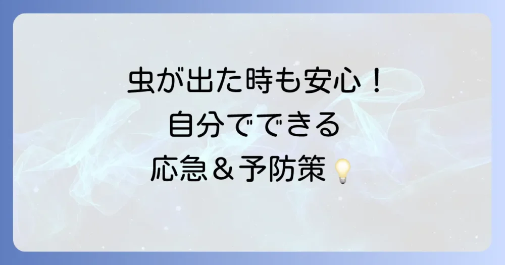 業者に依頼する前に！自分でできる応急処置と再発防止策