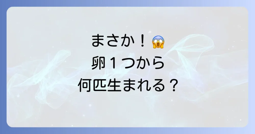 結論:ゴキブリの卵1つから生まれる数と衝撃の繁殖力