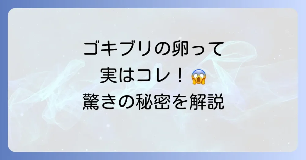 ゴキブリの卵(卵鞘)とは?その驚くべき特徴
