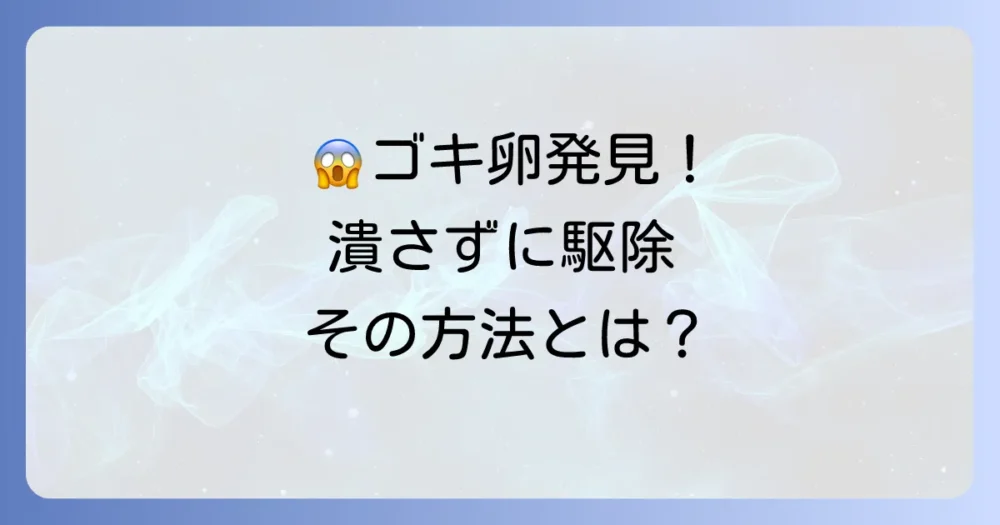 ゴキブリの卵を見つけた時の駆除方法