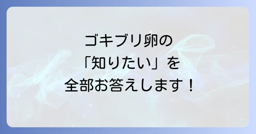 よくある質問