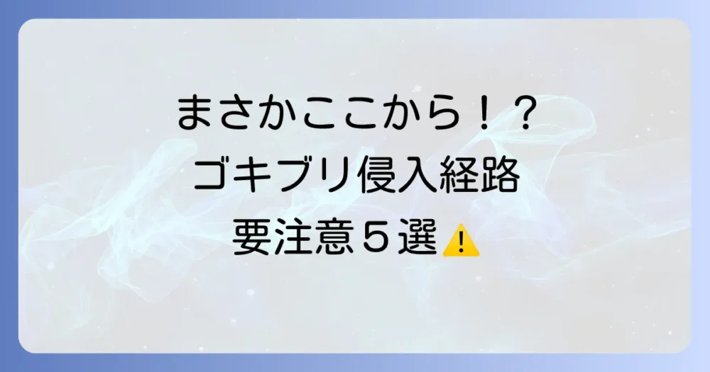 ゴキブリはどこから来るの？主な侵入経路トップ5