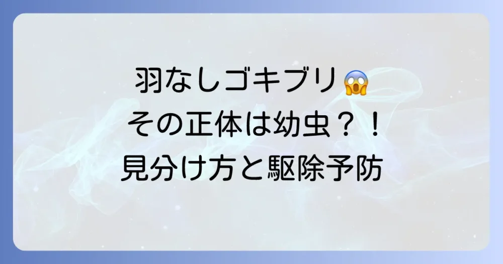 羽のないゴキブリの正体は？幼虫？それとも別の虫？種類と見分け方、駆除方法まで徹底解説！