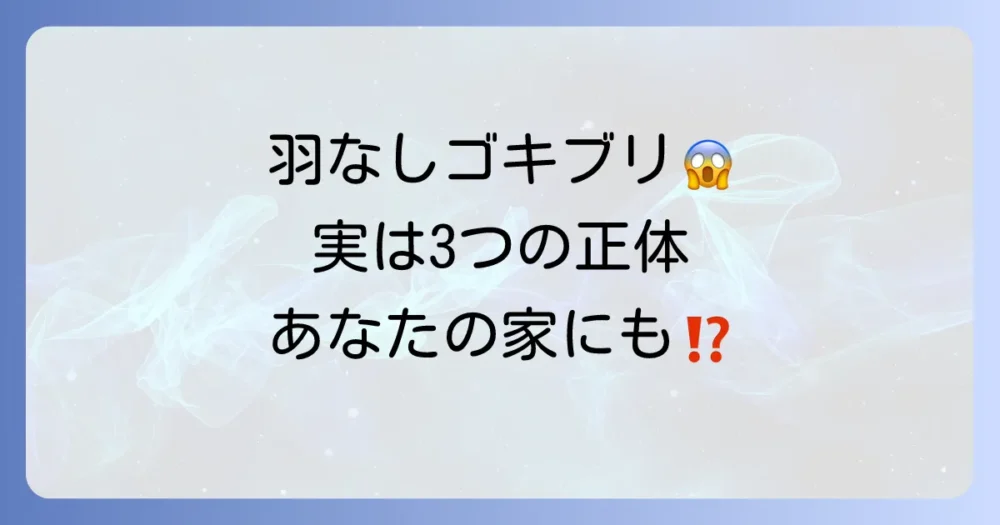 羽のないゴキブリの正体は主に3パターン