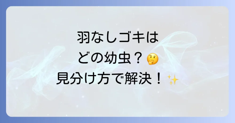 【種類別】羽のないゴキブリ(幼虫)の特徴と見分け方