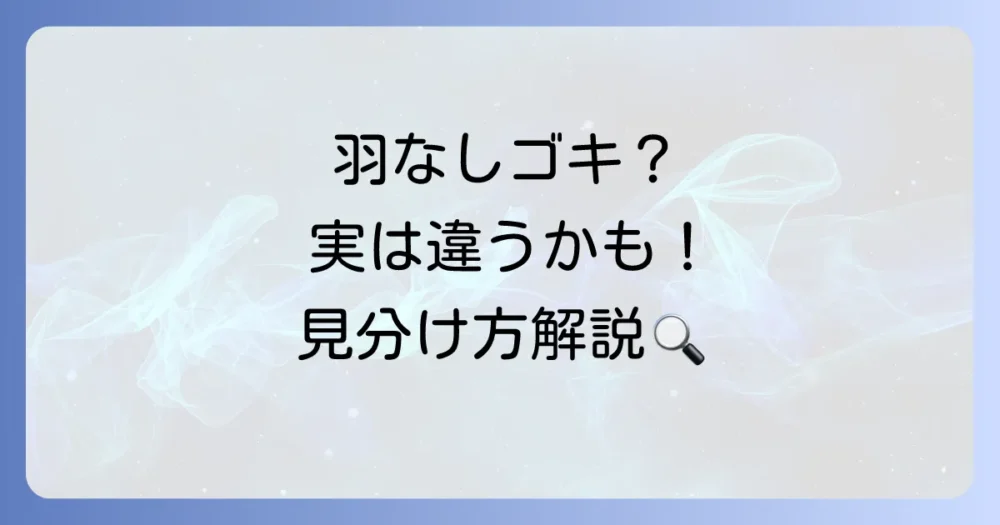 ゴキブリじゃないかも?羽のない似ている虫との見分け方