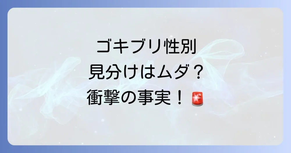 ゴキブリのオス・メスの見分け方は?気にする必要はある?