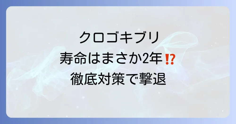 クロゴキブリの寿命はどれくらい？卵から成虫までの期間と驚きの生態、効果的な対策を徹底解説