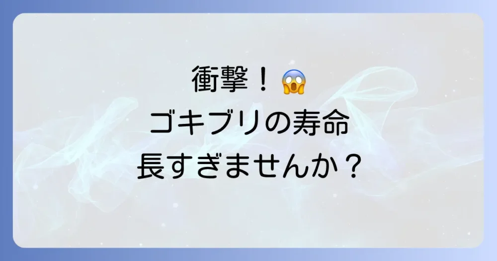 衝撃!クロゴキブリの寿命は想像以上に長い