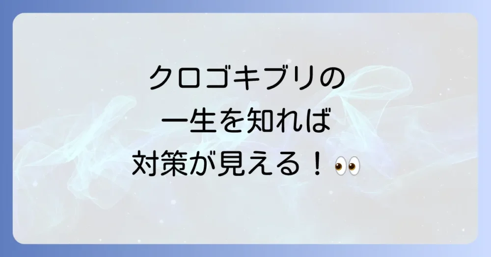 クロゴキブリの一生!卵から成虫までのステージ別期間