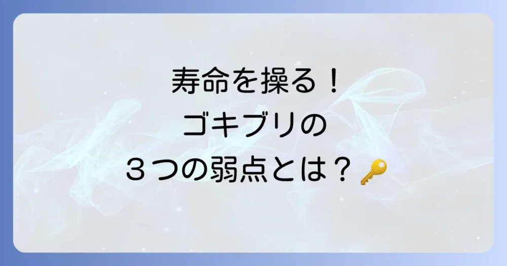 クロゴキブリの寿命を左右する3つの要因