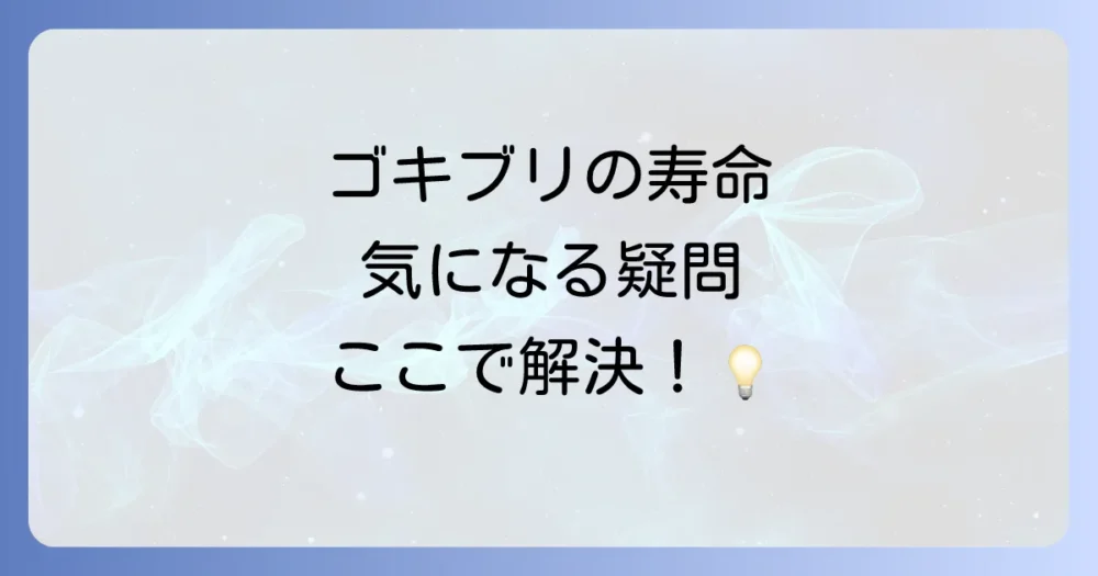 クロゴキブリの寿命に関するよくある質問