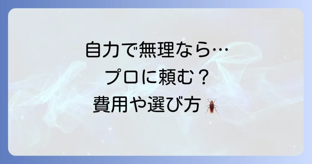 自分での駆除は限界？プロの業者に依頼する選択肢