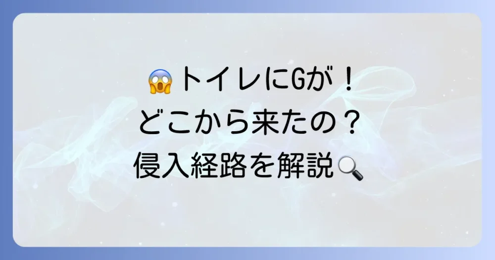 なぜ?トイレにゴキブリが出現する主な侵入経路