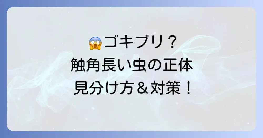 ゴキブリに似た虫で触覚が長い！その正体と簡単な見分け方、今すぐできる対策を徹底解説