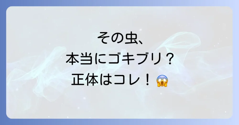 【結論】その虫の正体は?ゴキブリに似た触覚の長い虫の候補たち