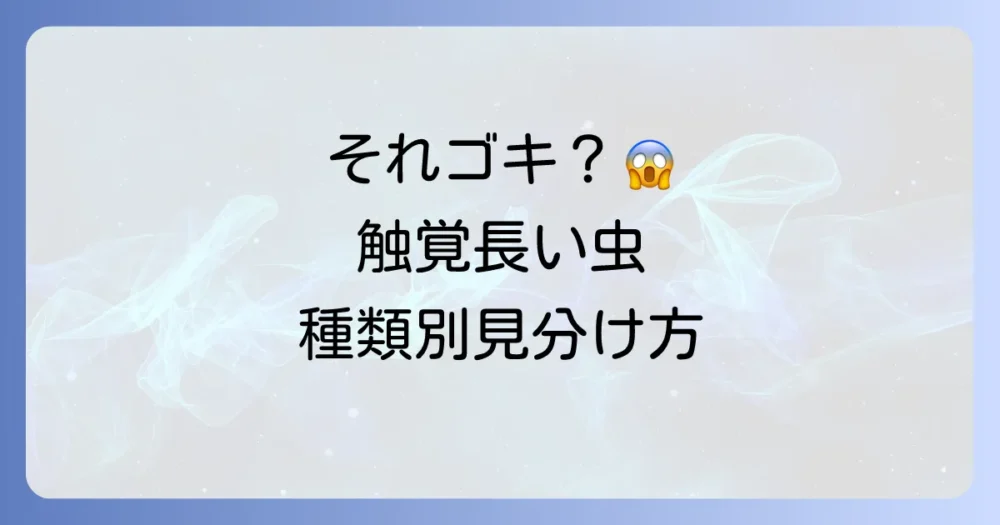 ゴキブリに似た触覚の長い虫【種類別】特徴と見分け方
