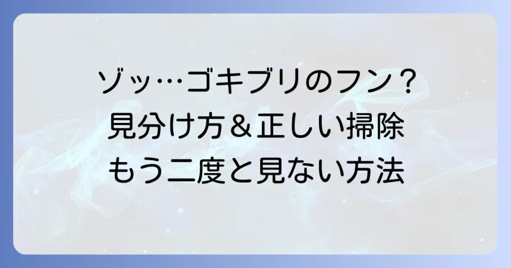 【写真で解説】ゴキブリのフン？その特徴と放置する危険性、正しい掃除方法まで徹底ガイド