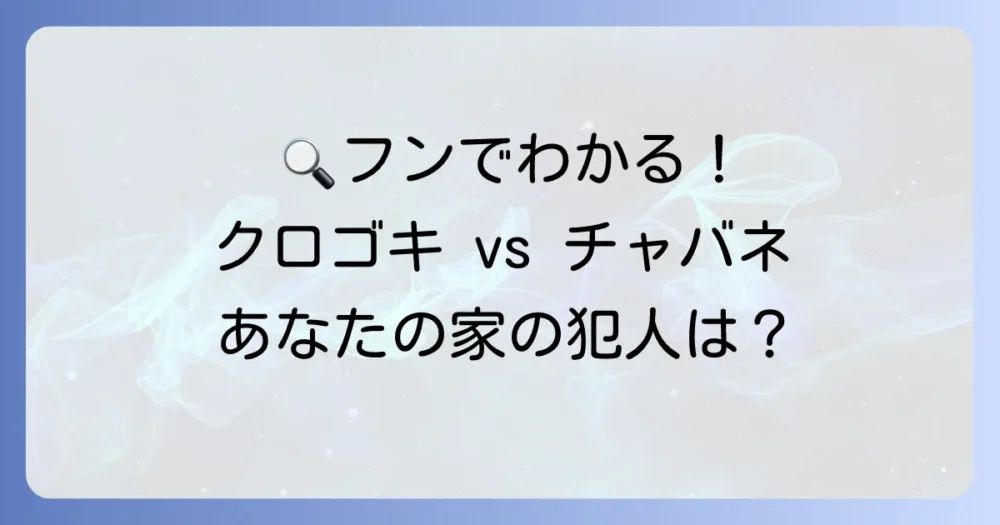 【種類別】クロゴキブリとチャバネゴキブリのフンの違い