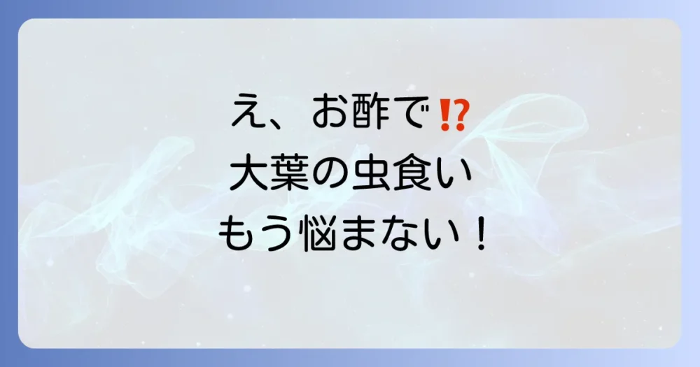 大葉の虫食い対策にお酢は効く？【完全版】手作りスプレーの作り方から注意点、プロが教える予防法まで