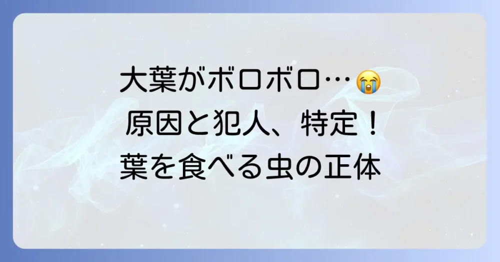大葉の葉が虫食いだらけ…その原因と害虫たち