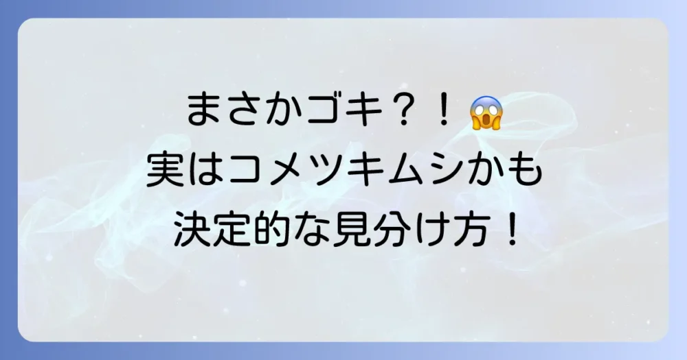 コメツキムシとゴキブリは全くの別物!決定的な見分け方