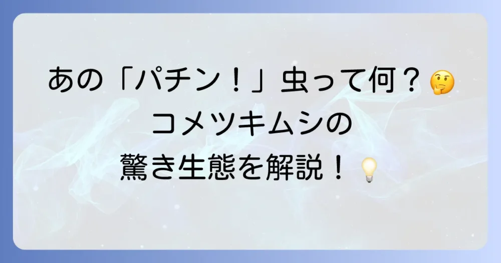 そもそもコメツキムシってどんな虫?その不思議な生態