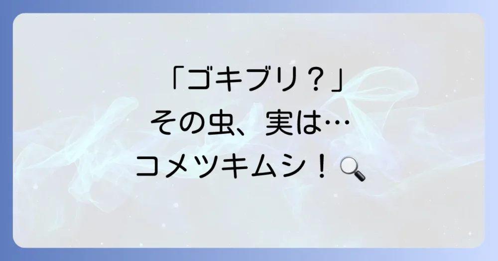 気になる!コメツキムシはゴキブリみたいな害虫なの?