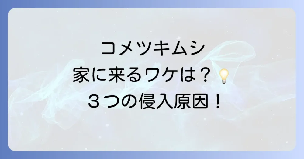 なぜ?コメツキムシが家の中に侵入する3つの原因