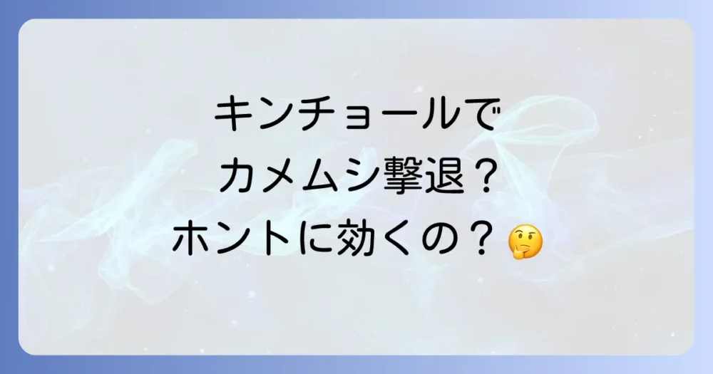 普通のキンチョールはカメムシに効果がある?