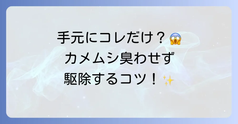 臭わせない!普通のキンチョールを使ったカメムシ駆除のコツ