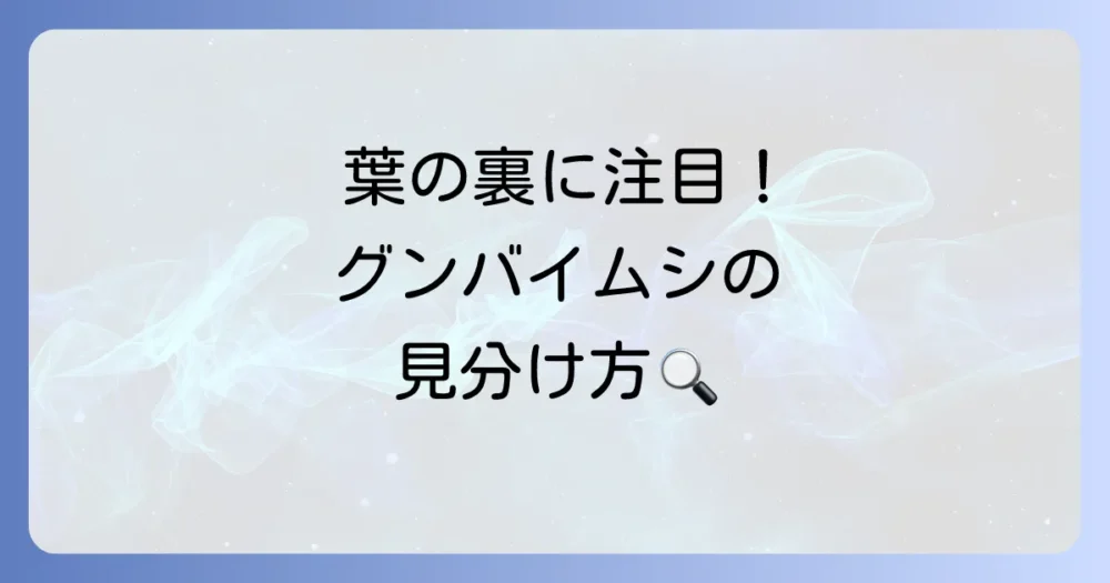 そもそもグンバイムシってどんな虫？生態と被害を知ろう
