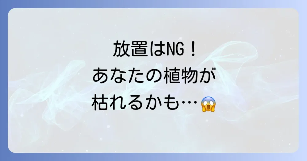 恐ろしいハダニの被害!放置すると植物が枯れることも