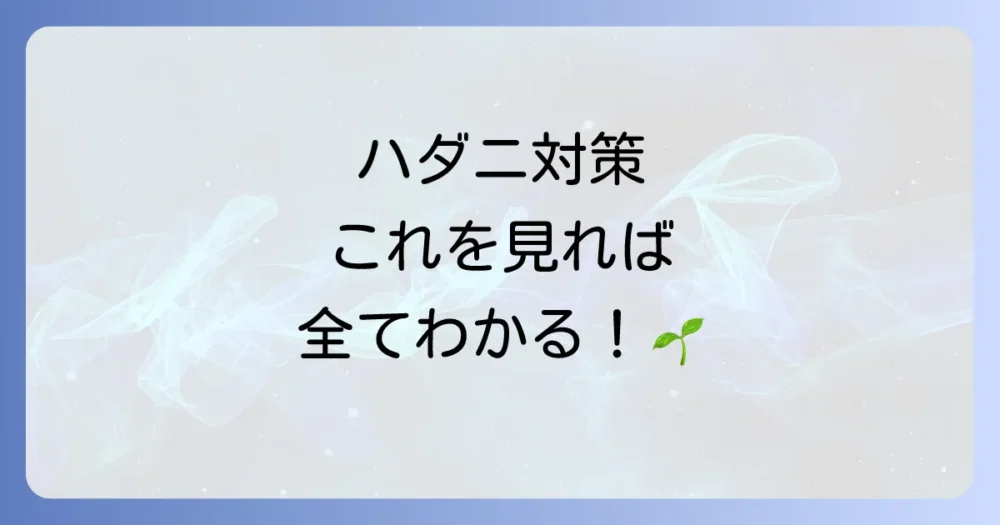 まとめ