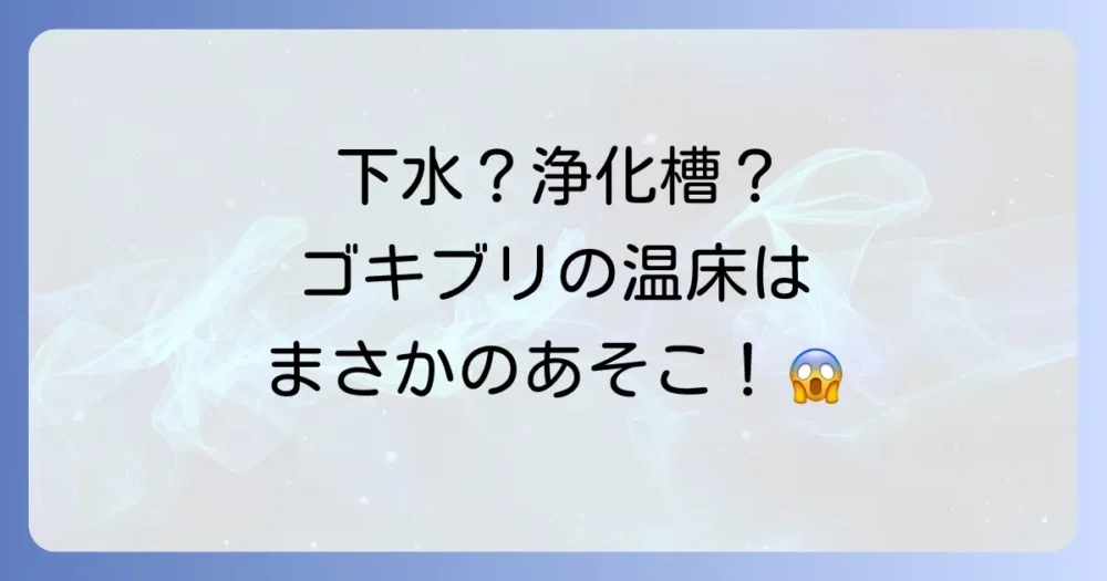 下水道と浄化槽、ゴキブリが出やすいのはどっち？